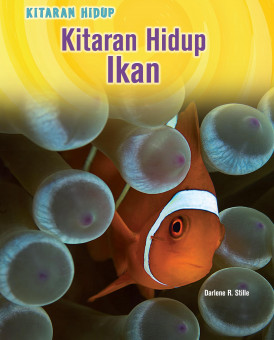 ITBM — Kitaran Hidup: Kitaran Hidup Ikan