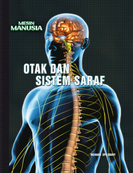 ITBM — Mesin Manusia: Otak dan Sistem Saraf